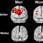 تفاوتهای بین مغز زنان و مردان در چیست+عکس