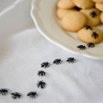 راه های مبارزه با مورچه ها در خانه+عکس