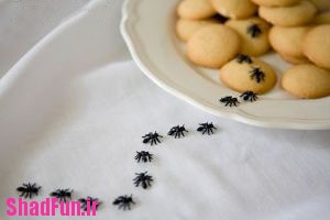 راه های مبارزه با مورچه ها در خانه+عکس,راه های مبارزه با مورچه ها در خانه,مبارزه, مبارزه با مورچه, روش های مبارزه با مورچه, مورچه, مورچه در خانه, 12 روش برای مبارزه با مورچه